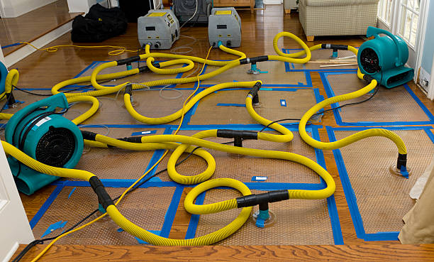Professional Crawl Space Water Removal technician working in Lismore, MN